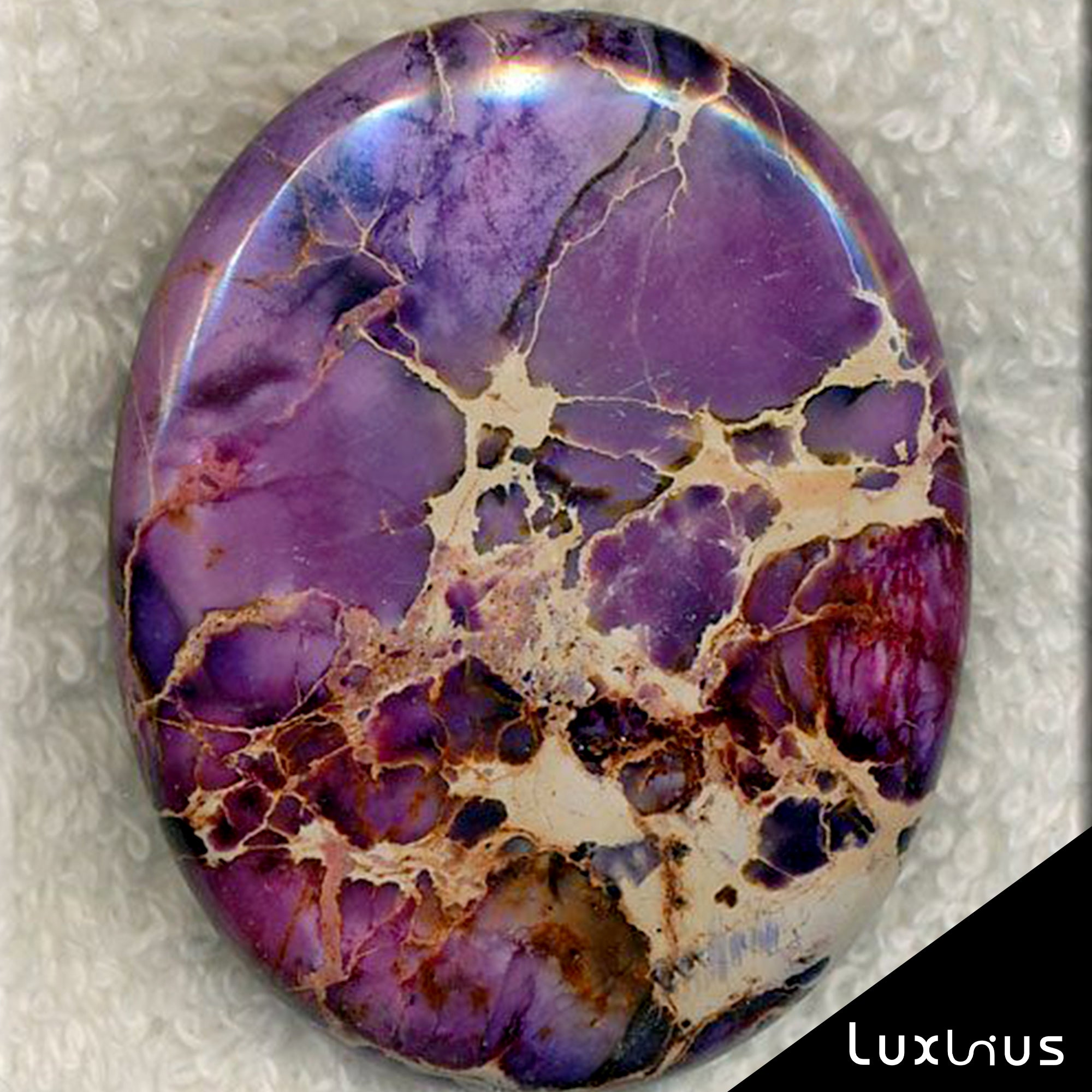 Purple Jasaper – Luxunius
